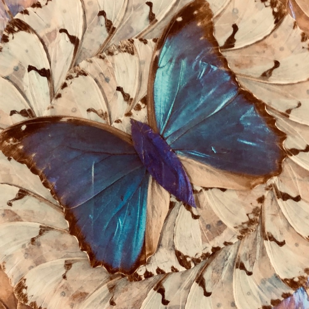 Meet your Posher, Natalina